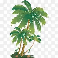 椰子树装饰图片