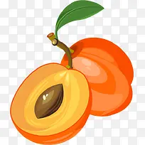 杏水果PNG矢量素材