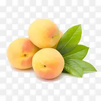 黄桃水果免抠素材