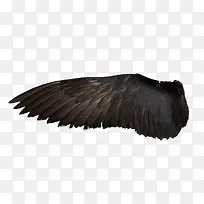 黑色翅膀图片装饰