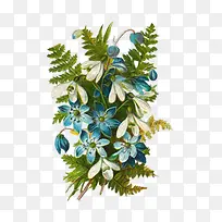 白色蓝色花手绘