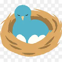 孵鸟蛋的蓝鸟