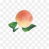生鲜桃子