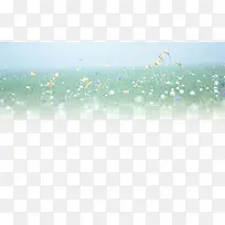 小清新花圃