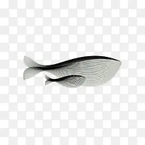 黑白线条鱼