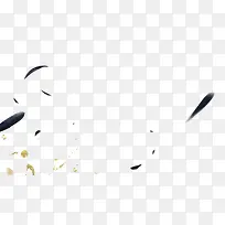 漂浮黑色羽毛