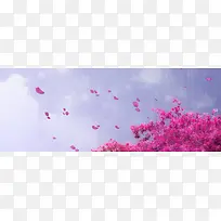 粉色背景