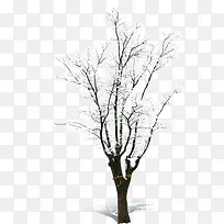 高清创意摄影合成雪景树木