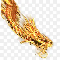 金龙