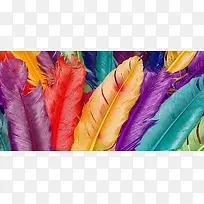 七彩色漂亮羽毛壁纸