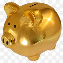 金猪存钱罐