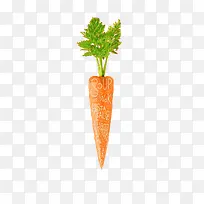 蔬果之胡萝卜