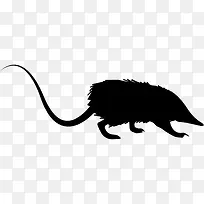 大鼠的轮廓图标