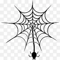 蜘蛛挂Web 图标