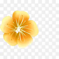 黄色卡通花卉