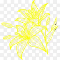 黄色高清创意花卉图案