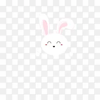 兔兔  表情   表情兔兔   兔子