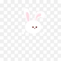 兔兔  表情   兔子