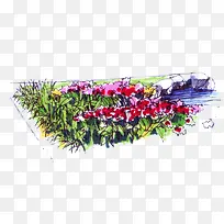 绘画花卉花园展板