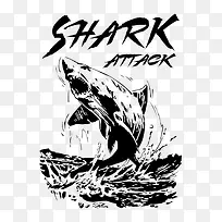跳出水面的鲨鱼插画图片