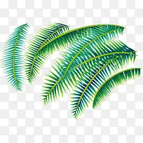 创意合成手绘绿色的棕榈叶