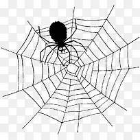 蜘蛛黑色蜘蛛蜘蛛网卡通装饰