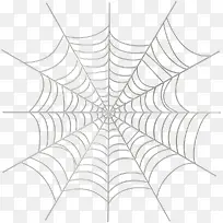 蜘蛛网卡通蜘蛛网