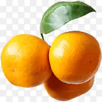 水果植物黄色橘子
