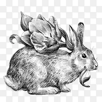 兔子背上的花朵