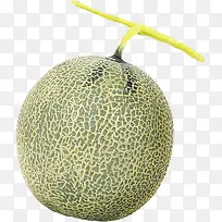 绿色哈密瓜设计水果