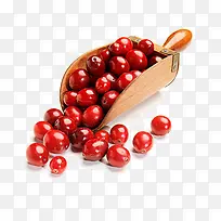 红色蔓越莓