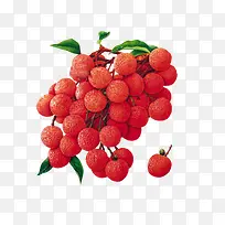 红色荔枝水果