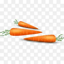 卡通蔬菜维生素营养胡萝卜
