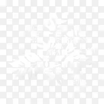 白色透明叶子