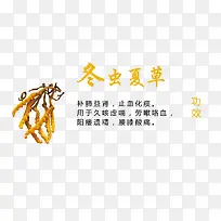 冬虫夏草