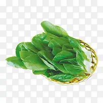 青菜