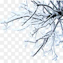 冬季树枝主题海报