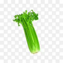 芹菜