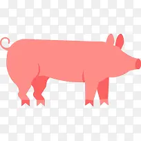 扁平化猪