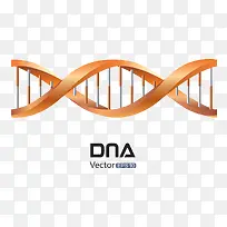 桔红色DNA高清免扣素材
