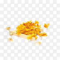 药用石斛花