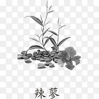辣廖