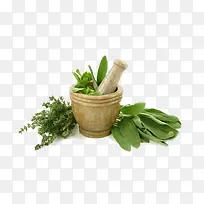 草药 药 植物  中药