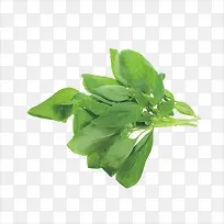 草药