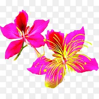 中秋节高清粉色花朵海报