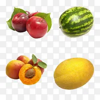 营养的水果