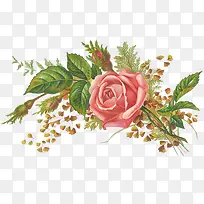 古典手绘粉红玫瑰