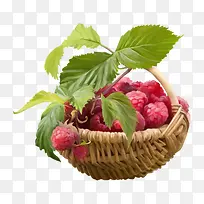 一篮树莓