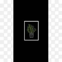 黑底植物画框设计