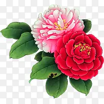 手绘富贵花十字绣